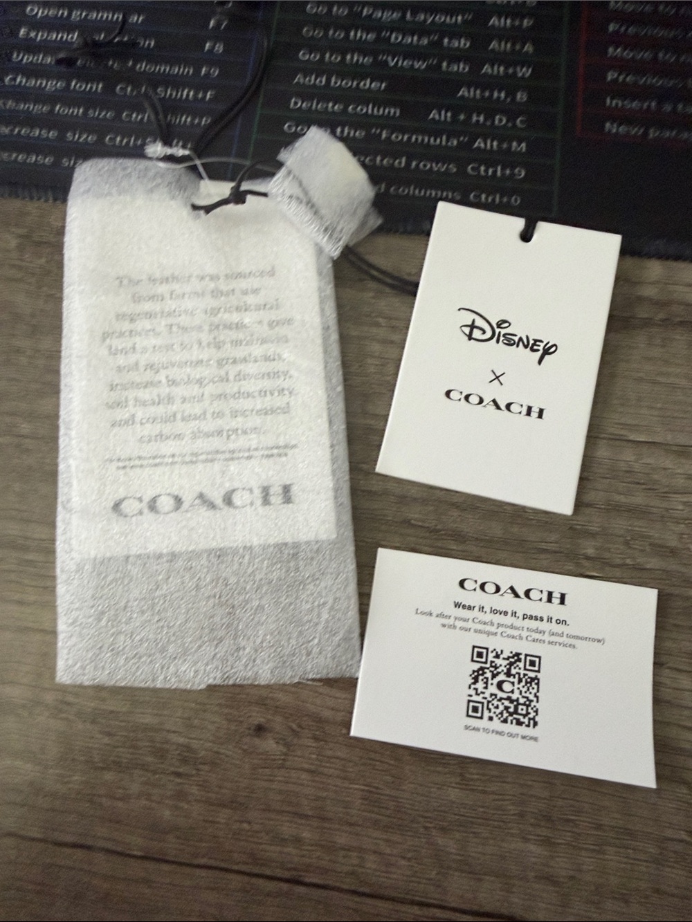 Coach Disney White and Gray Branded Tag Set